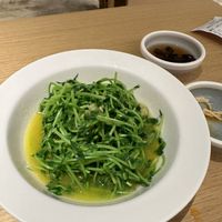   at Dancing Dumplings 舞蔬尚饺 - Wǔ Shū Shàng Jiǎo - temporarily closed in Shanghai