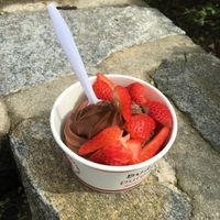 Chocolate sorbetto  at Buddhaberry in Sag Harbor