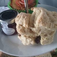 dry scone and small pot of jam (one between us!) at Salt Shack Cafe in Hayling Island
