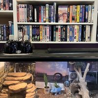   at Wheeze The Juice in Oklahoma City