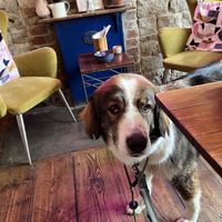   at The Old Gun Shop Café & Pantry in Lancaster