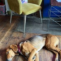   at The Old Gun Shop Café & Pantry in Lancaster