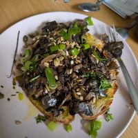Mushrooms on toast w/ truffle oil at The Old Gun Shop Café & Pantry in Lancaster