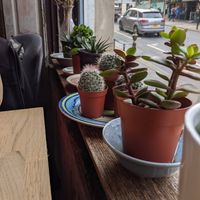 A few pics from our various visits... at The Old Gun Shop Café & Pantry in Lancaster