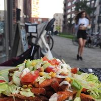  at Vet Gezond in Leiden