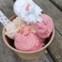  at Vet Gezond in Leiden