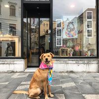 Lush Ljubljana at LUSH in Ljubljana