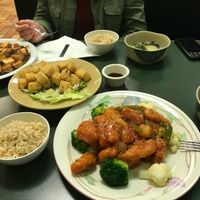   at Pinellia in South Bend