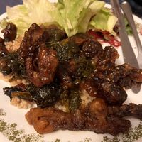 Jade Mushroom   at Pinellia in South Bend