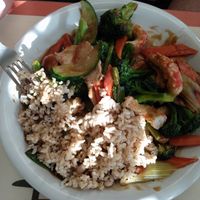  at Pinellia in South Bend