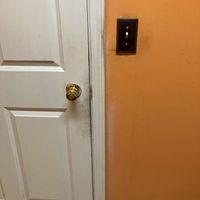  at Pinellia in South Bend