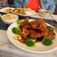  at Pinellia in South Bend