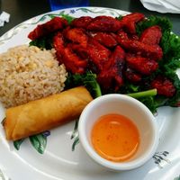 Vegan BBQ lunch size at Pinellia in South Bend