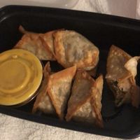 Stuffed Wontons at Pinellia in South Bend