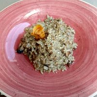 Mushroom risotto! at Sa Garrofa in Begur