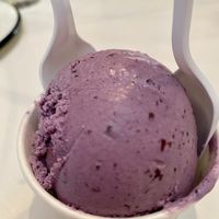 Vegan blueberry ice cream   at Manzanita Market in Taos
