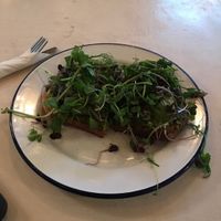 $6 piece of toast. at Manzanita Market in Taos