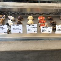 Tasty Cakes 😍 at Amour Patisserie Vegetale in Nice