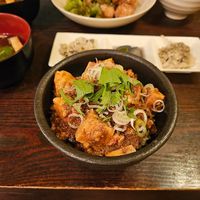 Veggie Chinese Mabo-tofu at Nagi Shokudo in Kamakura