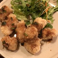Deep fried soy meat at Nagi Shokudo in Kamakura