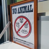 sign at Veggies Deli Box Cafe - Food Truck in Tokyo