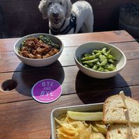   at The Bye and Bye in Portland