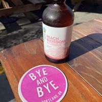   at The Bye and Bye in Portland