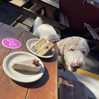   at The Bye and Bye in Portland