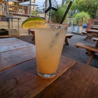 The little bird at The Bye and Bye in Portland