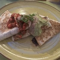 Vegan quessadilla with black beans  at Blue Margarita in Bucharest