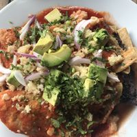 Enchiladas de yaca con queso de almendras at Giornale in Mexico City