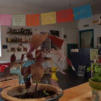 Inside at The Platform Cafe in South West London