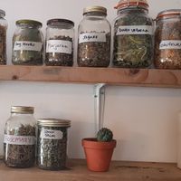 Spices at The Platform Cafe in South West London