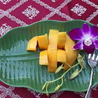 Mango! at Zur Lotus in Oensingen