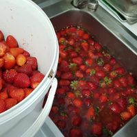 Strawberry at Gelateria Crema di Gelato in Lagos