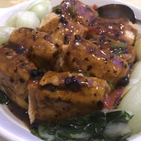 Tofu at Lotus Pond Vegetarian Restaurant in Scarborough