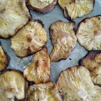Grilled mushrooms at Kanela & Garyfallo in Ioannina