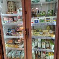 Lots of vegan options at SunMoon - Solunska in Sofia