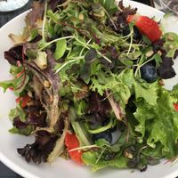 Forager Salad at Sage and Cinder in Mukilteo