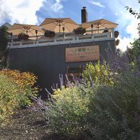 Vegan small plates and lovely drinks on the Mukilteo waterfront, right by the ferry. A must for those visiting Washington. at Sage and Cinder in Mukilteo