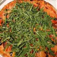  at Pizza Mia in Bologna