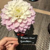 Beautiful gardens to explore at Mallory Court in Leamington Spa