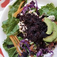 Amazing salads! at Live! in Pensacola