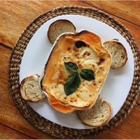 VEGETARIAN LASAGNA: with zucchini and mushrooms $9 at Il Capuccino in Puerto Lopez