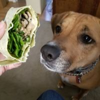 Loved by all... toooo bad i wouldn't share at Culture Coffee & Tea Bar in Virginia Beach