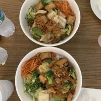 Tofu with vegetables and noodles at Island Pho & Grill in Matlacha