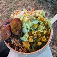 Curried chickpeas bowl at vegan camp out 2025 at Livity Plant Based Cuisine in Croydon