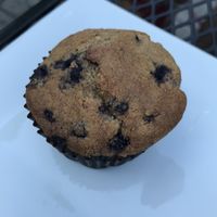 Vegan blueberry muffin  at Evergreen Eatery in Jamaica Plain