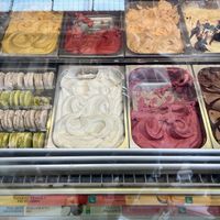 All vegan flavours are clearly marked. A partial view.  at Amorino in Milan