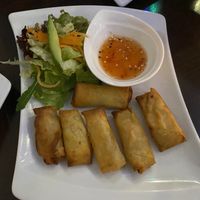 Starter at Tiger Club in Berlin